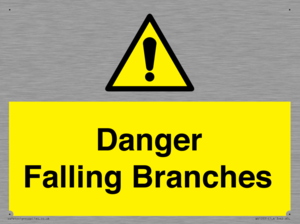 Danger Falling Branches